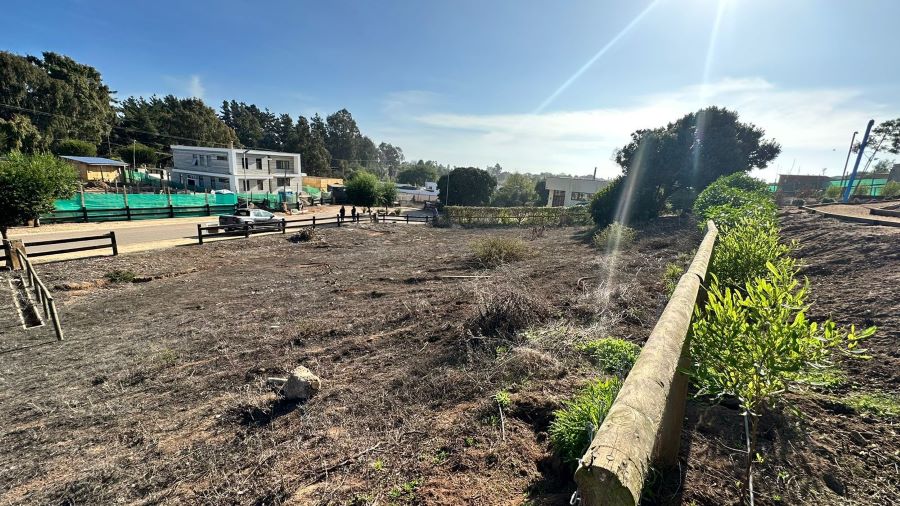 Vendo Terreno en Maitencillo.