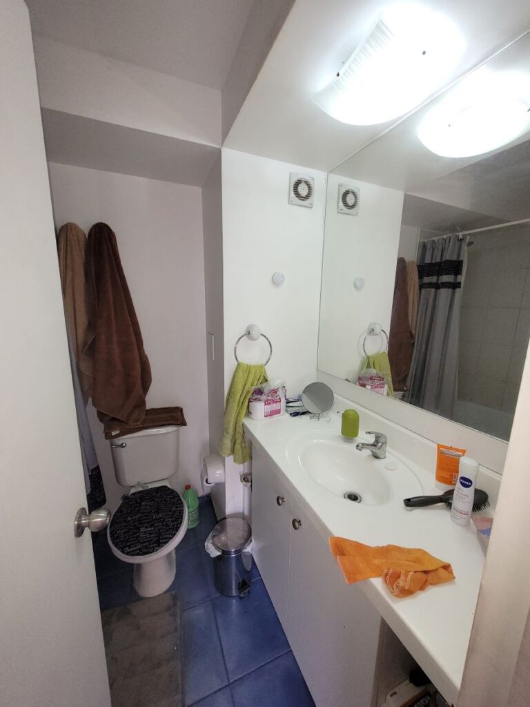 Vendo departamento, Parque Del Este 4480, Ciudad del Este, Puente Alto.