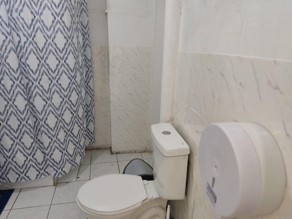 Vendo casa Comercial, Santa Isabel 562, Providencia.