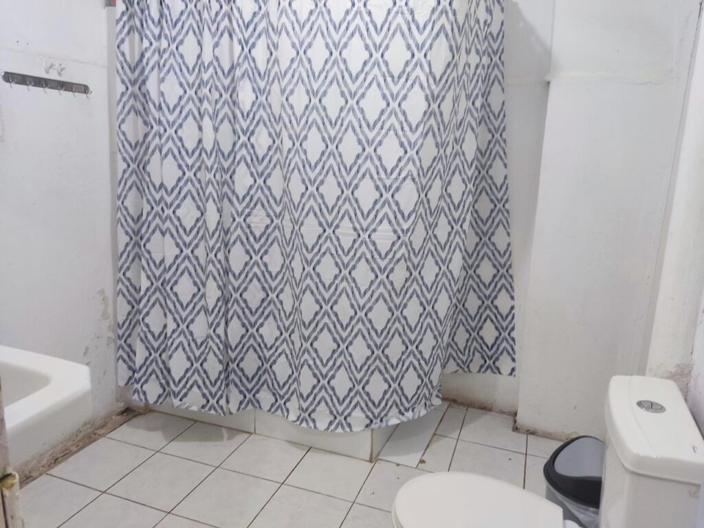 Vendo casa Comercial, Santa Isabel 562, Providencia.