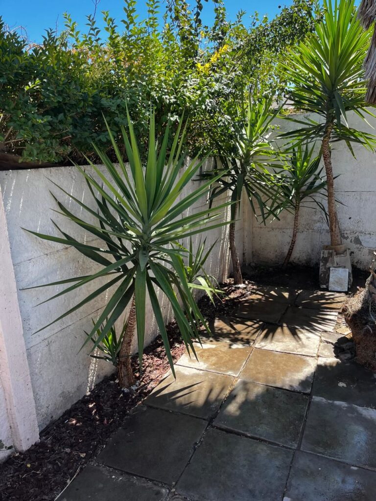 Arriendo casa José María Velasco 330, Puente Alto.