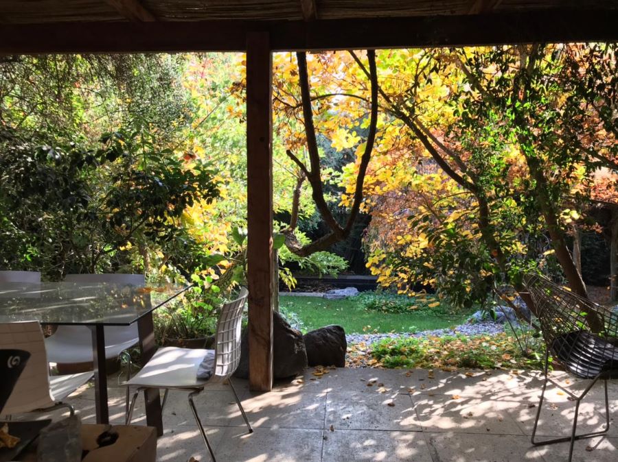 Vendo hermosa y acogedora casa, Parque Sur, La Dehesa.