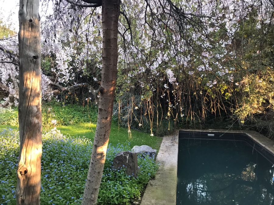 Vendo hermosa y acogedora casa, Parque Sur, La Dehesa.