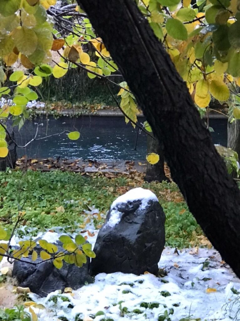 Vendo hermosa y acogedora casa, Parque Sur, La Dehesa.