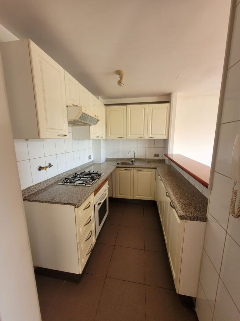 Arriendo Hermoso departamento Carlos Antúnez – Ricardo Lyon, Providencia