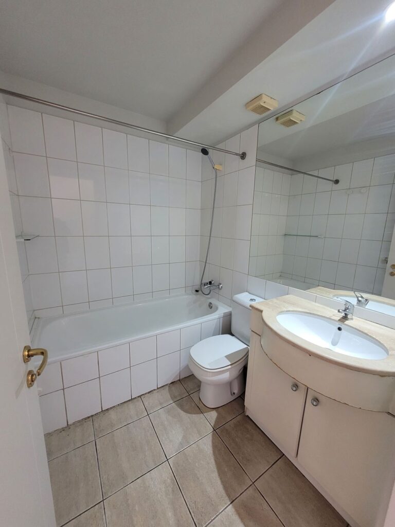 Arriendo Hermoso departamento Carlos Antúnez – Ricardo Lyon, Providencia
