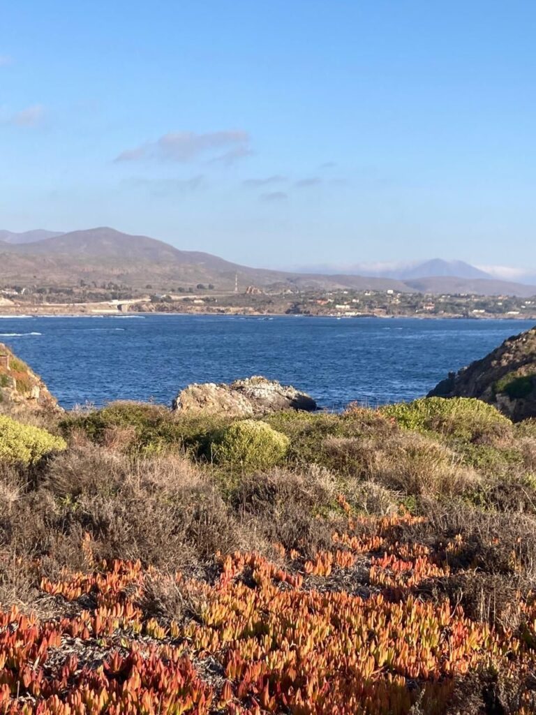 Hermosa Parcela en Totoralillo, Ensenada, Los Vilos