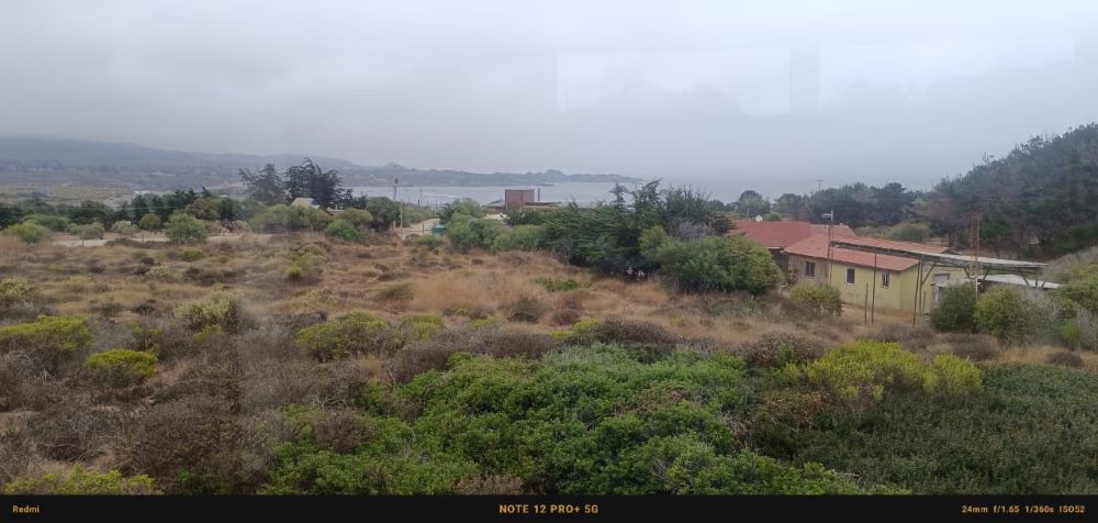 Hermosa Parcela en Totoralillo, Ensenada, Los Vilos